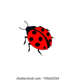 The ladybug with red stripes, black spots.
