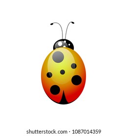
Ladybug red yellow color