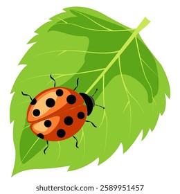 Ladybug resting on a vibrant green leaf under a clear blue sky in a serene garden setting