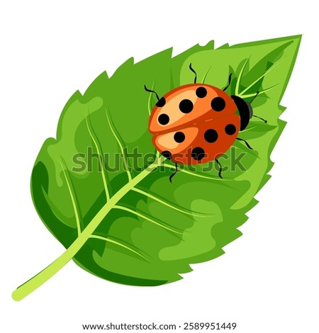 Ladybug rests on a vibrant green leaf in a natural setting showcasing a peaceful outdoor moment