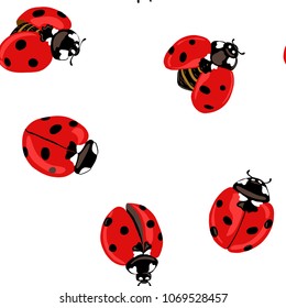 Ladybug seamless pattern, texture; background. Isolated on white background. Vector illustration