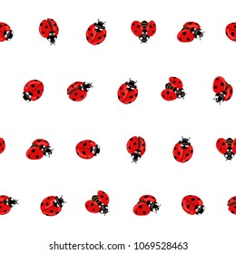 Ladybug seamless pattern, texture; background. Isolated on white background. Vector illustration