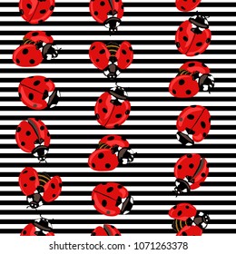 Ladybug seamless pattern, texture; background. Red ladybugs on black-and-white stripes background. Vector illustration