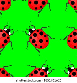 ladybug, seamless pattern, vector illustration
