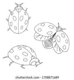 Ladybug set graphic black white isolated sketch illustration vector