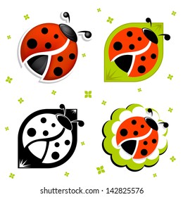 ladybug set isolated vector