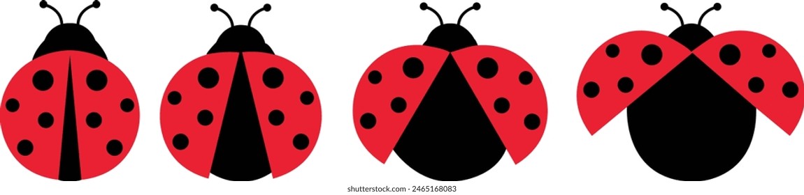 ladybug set. Vector dotted or polka dot pattern. Let spring begin. ladybug sign represents protection, resistance, luck and prosperity, but also symbol of senseless violence. on transparent background