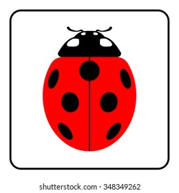 Ladybug sign in the frame. Beautiful red ladybird icon isolated on white background. Bright cute spotted insect cartoon. Design beetle. Use for print production, etc. Colorful Vector illustration