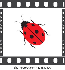 Ladybug sign icons, vector illustration. Flat design style 