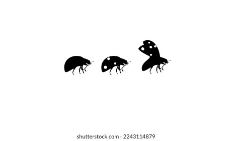 silueta de ladybug, vector de alta calidad