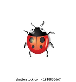 Ladybug Silhouette Vector On A White Background