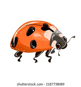 Ladybug, simple flat design stylized red and black. Vector illustration isolated on white background. Cute insects. Childrens illustration