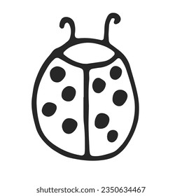 Ladybug simple linear drawing, black outline. Hand drawn, vector, on white background isolated. View from above.