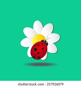 ladybug sits on a flower