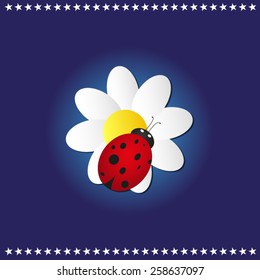 ladybug sits on a flower