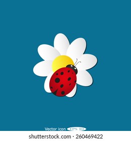 ladybug sits on a flower