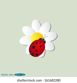 ladybug sits on a flower