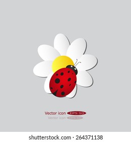 ladybug sits on a flower