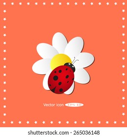 ladybug sits on a flower
