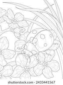 Ladybug sits on flowers. Vector illustration. Close-up. Coloring.