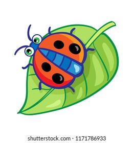 A ladybug sits on a green leaf