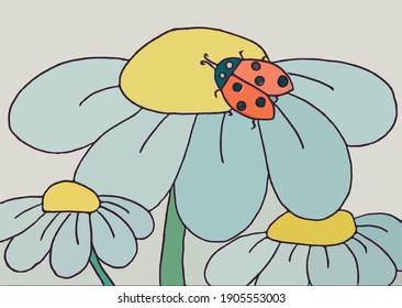 ladybug sitting on a big daisy
