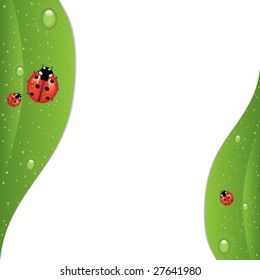 Ladybug sitting on a green leaf