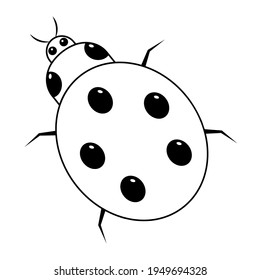 Ladybug. Sketch. An insect with specks on its back. Vector illustration. Coloring book. A cute creature with a mustache. View from above. Outline on white isolated background. Doodle style. 
