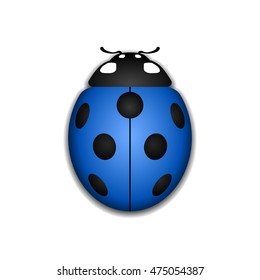 Ladybug small icon. Blue lady bug sign, isolated on white background. 3d volume design. Cute colorful ladybird. Insect cartoon beetle. Symbol of nature, spring or summer. Vector illustration
