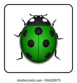 Ladybug small icon. Green lady bug sign, isolated on white background. 3d volume design. Cute colorful ladybird. Insect cartoon beetle. Symbol of nature, spring or summer. Vector illustration