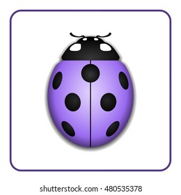 Ladybug small icon. Lilac lady bug sign, isolated on white background. 3d volume design. Cute colorful ladybird. Insect cartoon beetle. Symbol of nature, spring or summer. Vector illustration