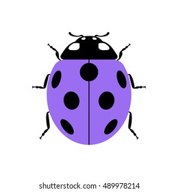 Ladybug small icon. Lilac lady bug sign, isolated on white background. Wildlife animal design. Cute colorful ladybird. Insect cartoon beetle. Symbol of nature, spring or summer. Vector illustration