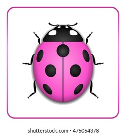 Ladybug small icon. Pink lady bug sign, isolated on white background. 3d volume design. Cute colorful ladybird. Insect cartoon beetle. Symbol of nature, spring or summer. Vector illustration