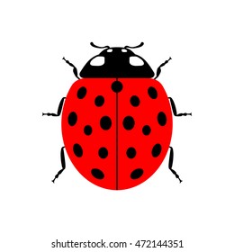 Ladybug small icon. Red lady bug sign, isolated on white background. Wildlife animal design. Cute colorful ladybird. Insect cartoon beetle. Symbol of nature, spring, summer. Vector illustration