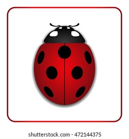 Ladybug small icon. Red lady bug sign, isolated on white background. 3d volume design. Cute colorful ladybird. Insect cartoon beetle. Symbol of nature, spring or summer. Vector illustration