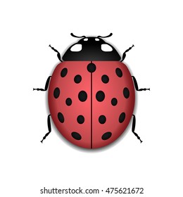 Ladybug small icon. Red lady bug sign, isolated on white background. 3d volume design. Cute colorful ladybird. Insect cartoon beetle. Symbol of nature, spring or summer. Vector illustration