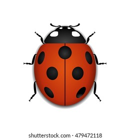 Ladybug small icon. Red lady bug sign, isolated on white background. 3d volume design. Cute colorful ladybird. Insect cartoon beetle. Symbol of nature, spring or summer. Vector illustration