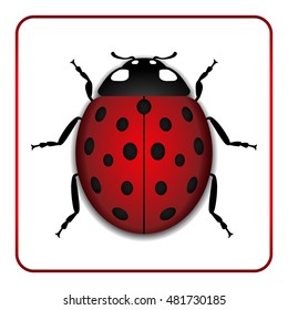 Ladybug small icon. Red lady bug sign, isolated on white background. 3d volume design. Cute colorful ladybird. Insect cartoon beetle. Symbol of nature, spring or summer. Vector illustration