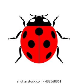 Ladybug small icon. Red lady bug sign, isolated on white background. Wildlife animal design. Cute colorful ladybird. Insect cartoon beetle. Symbol of nature, spring, summer. Vector illustration