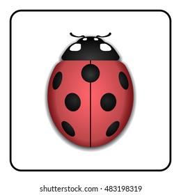 Ladybug small icon. Red lady bug sign, isolated on white background. 3d volume design. Cute colorful ladybird. Insect cartoon beetle. Symbol of nature, spring or summer. Vector illustration