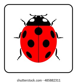 Ladybug kleine Ikone. rotes Damenbugzeichen einzeln auf weißem Hintergrund. Tierdesign. Geruchiger bunter Marienkäfer. Insektenkäfer Symbol der Natur, Frühling, Sommer. Vektorillustration