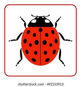 Ladybug small icon. Red lady bug sign, isolated on white background. Wildlife animal design. Cute colorful ladybird. Insect cartoon beetle. Symbol of nature, spring, summer. Vector illustration