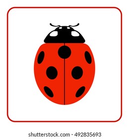 Ladybug kleine Ikone. rotes Damenbugzeichen einzeln auf weißem Hintergrund. Tierdesign. Geruchiger bunter Ladybird. Insektenkäfer Symbol der Natur, Frühling, Sommer. Vektorgrafik