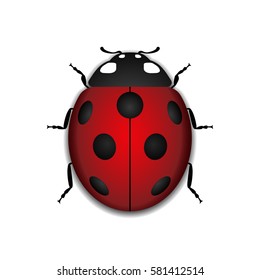 Ladybug small icon. Red lady bug sign, isolated on white background. 3d volume design. Cute colorful ladybird. Insect beetle. Symbol of nature, spring, summer. Vector illustration