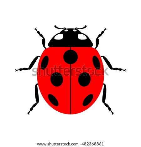 Ladybug small icon. Red lady bug sign, isolated on white background. Wildlife animal design. Cute colorful ladybird. Insect cartoon beetle. Symbol of nature, spring, summer. Vector illustration