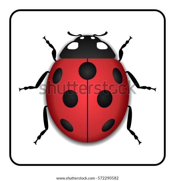 ラディブの小さいアイコン 白い背景に赤いレディーのバグサイン 3dボリュームデザイン かわいいカラフルなラディバード 虫ガラ虫 自然 春 夏 のシンボル ベクターイラスト のベクター画像素材 ロイヤリティフリー
