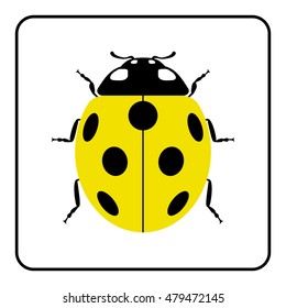 Ladybug small icon. Yellow lady bug sign, isolated on white background. Wildlife animal design. Cute colorful ladybird. Insect cartoon beetle. Symbol of nature, spring, summer. Vector illustration