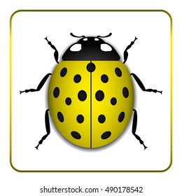 Ladybug small icon. Yellow lady bug sign, isolated on white background. 3d volume design. Cute colorful ladybird. Insect cartoon beetle. Symbol of nature, spring or summer. Vector illustration
