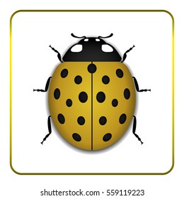 Ladybug small icon. Yellow lady bug sign, isolated on white background. 3d volume design. Cute colorful ladybird. Insect cartoon beetle. Symbol of nature, spring or summer. Vector illustration