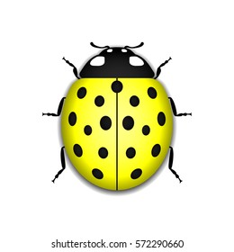 Ladybug small icon. Yellow lady bug sign, isolated on white background. 3d volume design. Cute colorful ladybird. Insect cartoon beetle. Symbol of nature, spring or summer. Vector illustration